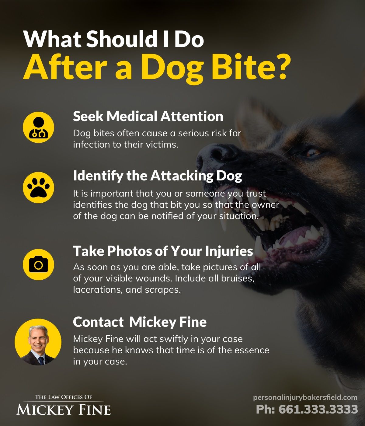 what if a dog bites you