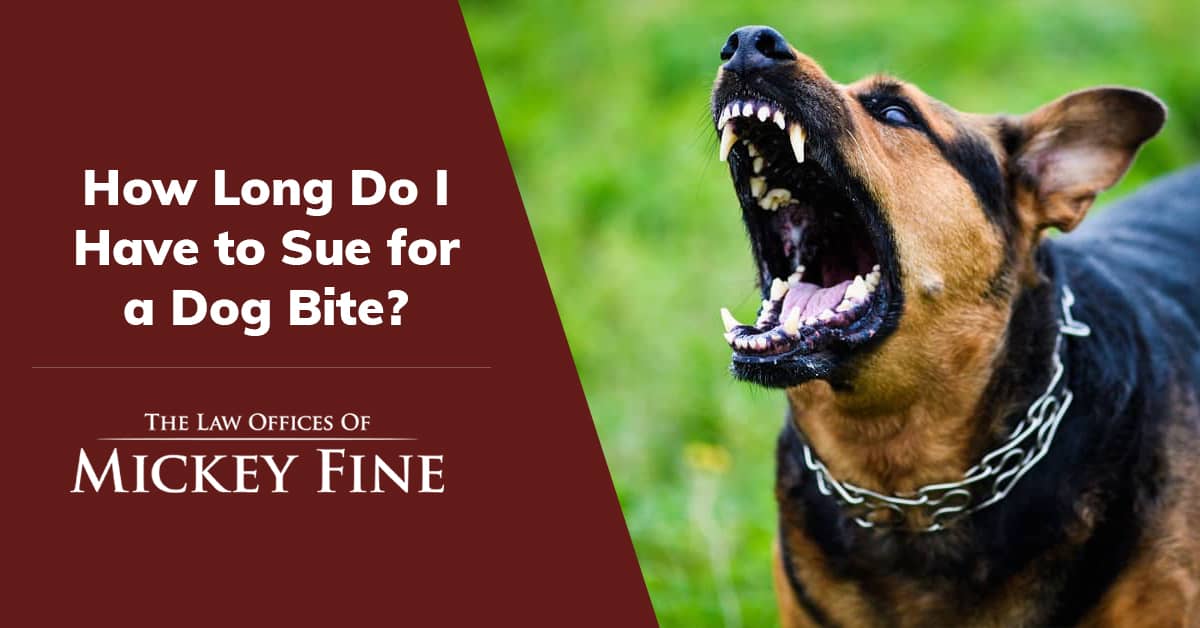 How Long Do You Have to File a Dog Bite Claim? Mickey Fine