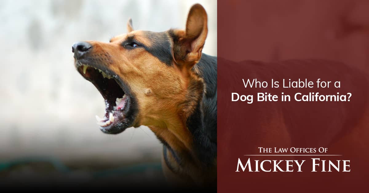 Who Is Liable For A Dog Bite