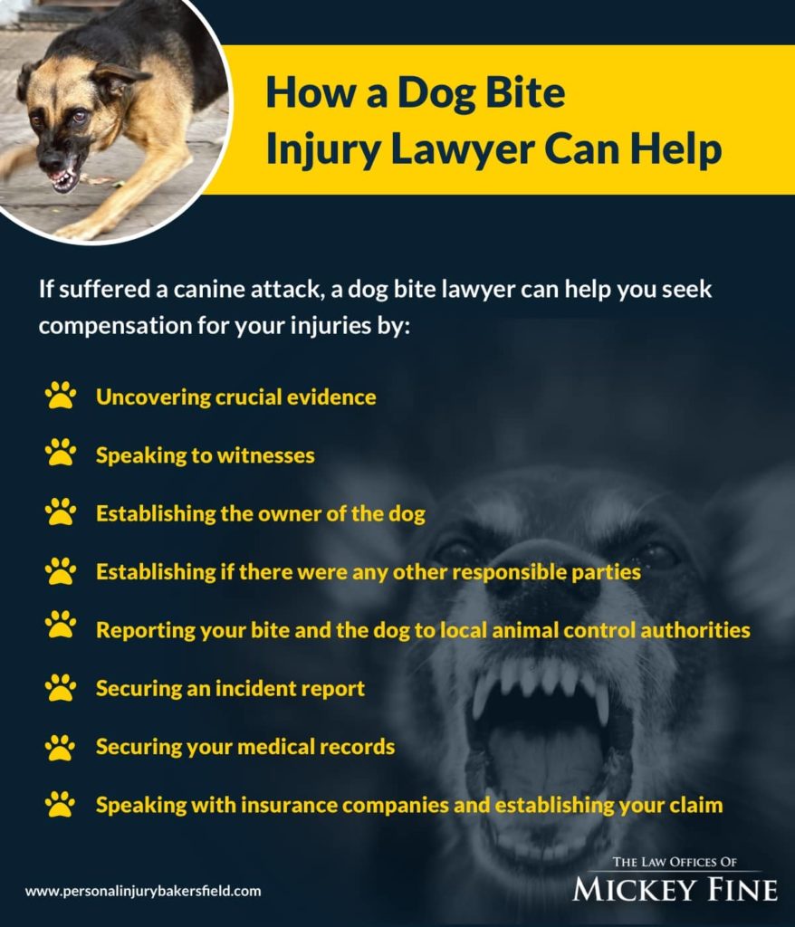 When Should You Seek Medical Attention For A Dog Bite