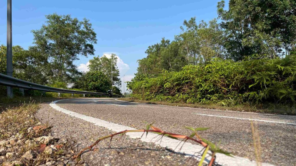 A clear two-lane road surrounded by greenery demonstrates driving conditions related to Is It Legal to Split Lanes in California.
