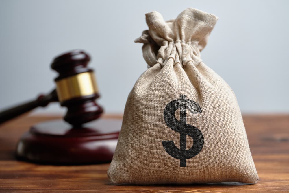 Dollar Bag & Judge's gavel in background